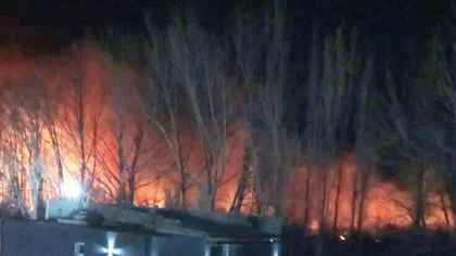 Un incendio en Vista Alegre preocupó a los vecinos