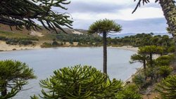 Gutiérrez a España, tras el “turismo inteligente”