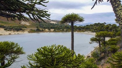 Gutiérrez a España, tras el “turismo inteligente”