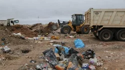 Autovía Norte: comenzó la limpieza de terrenos y las multas a propietarios