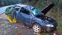 Volcó por esquivar a dos jabalíes que se le cruzaron
