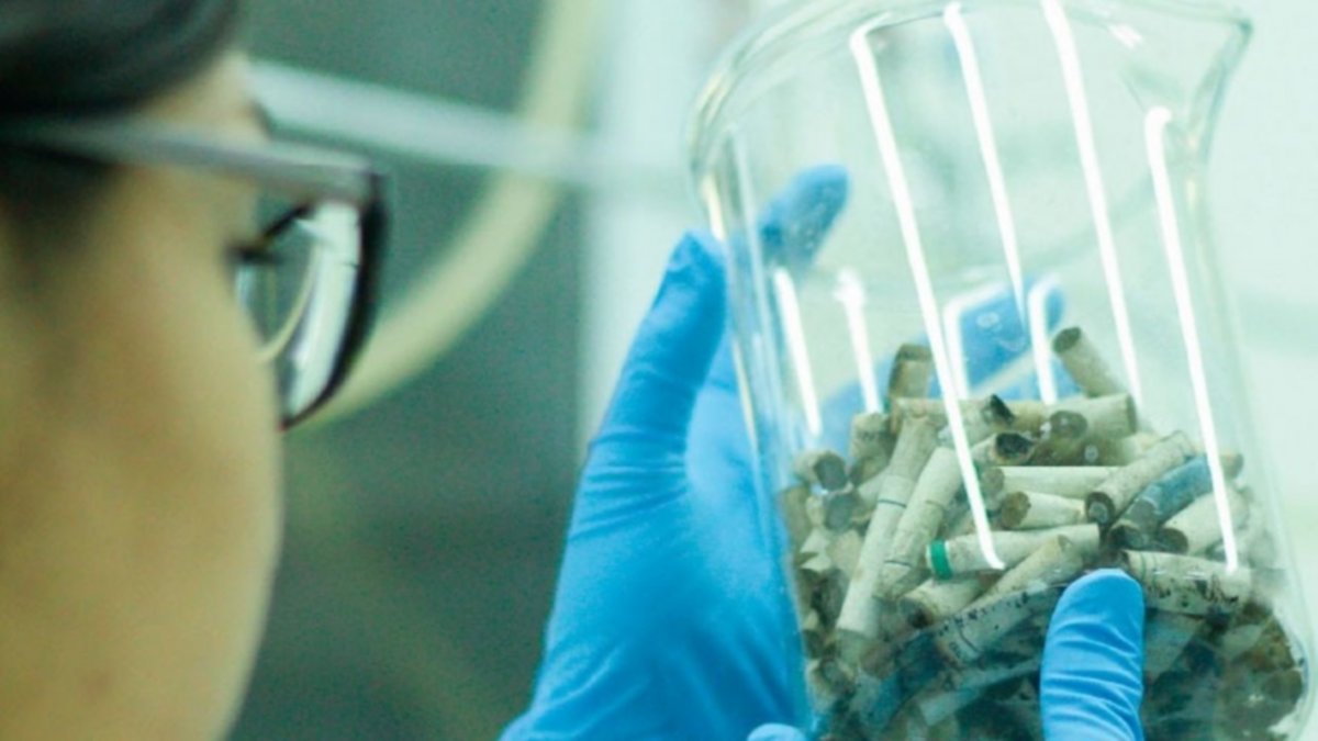 Científicos transforman colillas en productos sustentables