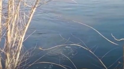 Nueva denuncia por desechos cloacales en el río Limay