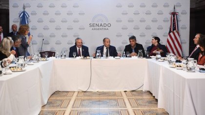 El embajador de EEUU criticó la política económica en el Senado