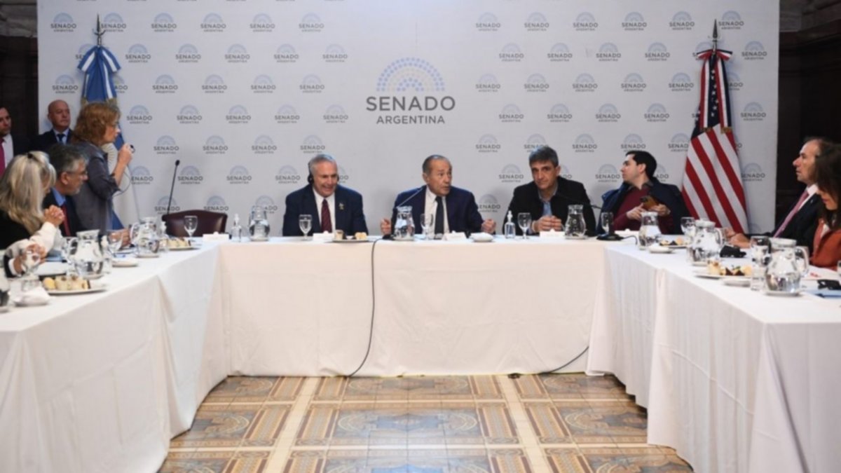 El embajador de EEUU criticó la política económica en el Senado