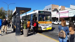 El sistema de colectivos tiene los meses contados