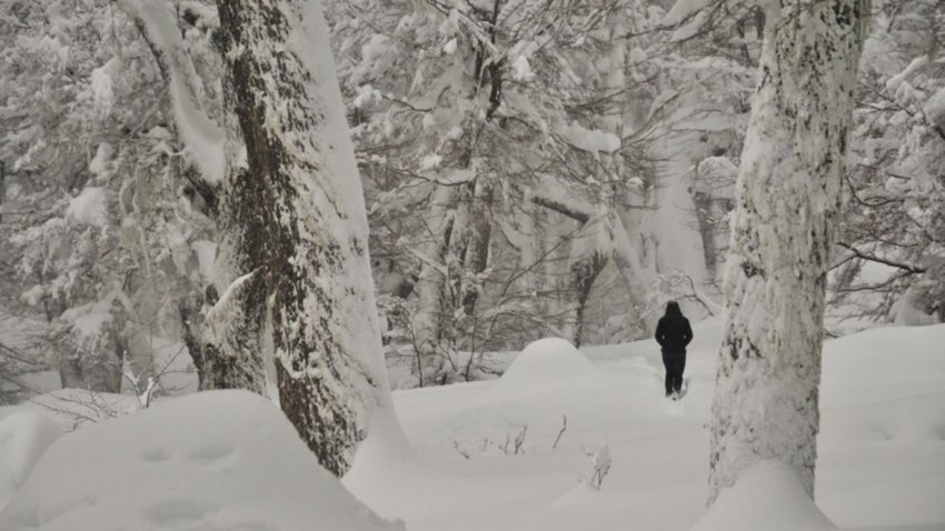 La aventura de “desenterrar” un refugio de la nieve