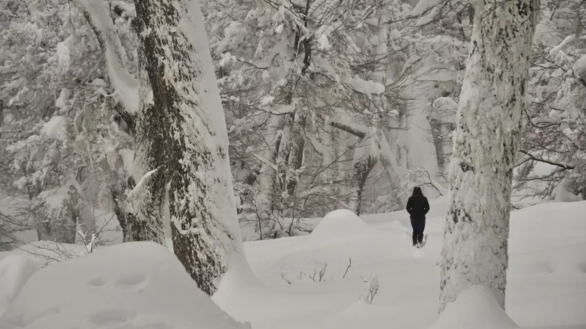 La aventura de “desenterrar” un refugio de la nieve