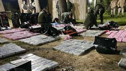 Piden detención de empresarios por traficar cocaína a Europa