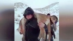 Matanza de pumas: la provincia indemniza a crianceros
