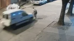 VIDEO: Hizo volar por los aires al ladrón que asaltó a su mamá