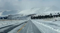 Atención viajeros: cuál es el estado de las rutas en Neuquén