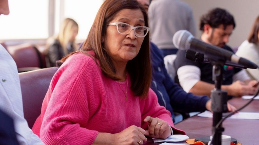 Diputada se queja de alojamientos turísticos “truchos”