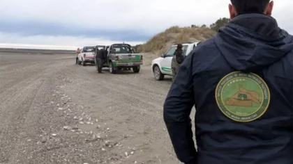 Rescataron a tres ballenas varadas en una playa rionegrina
