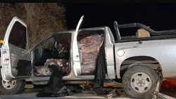 Llenó la camioneta de costillares y lo descubrieron