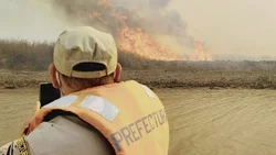 Delta y río Paraná: hay detenidos por los incendios