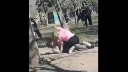 Brutal pelea entre dos chicas en una plaza en Cipolletti