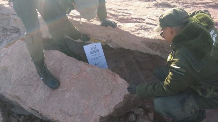 Los Barreales: encuentran resto fósil de 90 millones de años