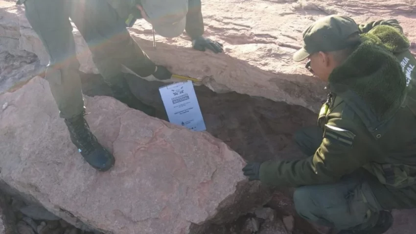 Los Barreales: encuentran resto fósil de 90 millones de años