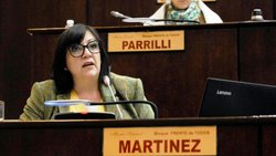 Diputada reclama por el aeródromo de Zapala