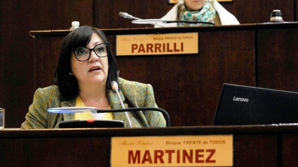 Diputada reclama por el aeródromo de Zapala