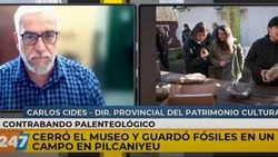 Nuevamente Neuquén repatriará restos fósiles desde el exterior