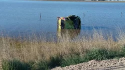 Varios tumbos, chapuzón y susto en la Ruta 10