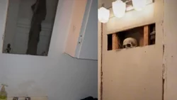 Encontraron un esqueleto mientras remodelaban el baño de su casa