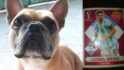 Buscan al perro de su amiga y ofrece la figurita de Messi