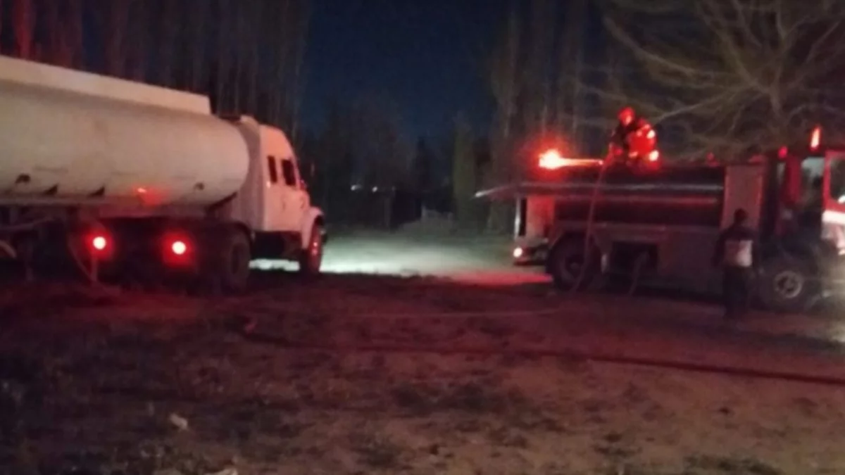 Dejaron un foco para calentar a sus pollitos y se les incendió la chacra