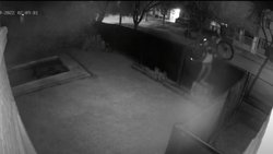 Video: muy panchos, así robaron una bicicleta de un patio