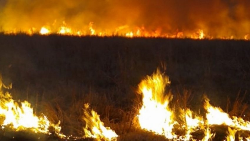 Extreman medidas de seguridad por incendio en el Paraná