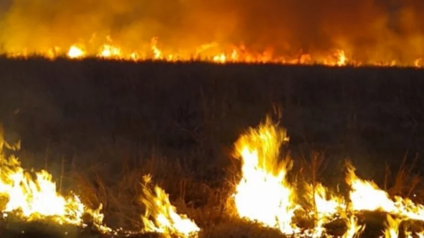 Extreman medidas de seguridad por incendio en el Paraná