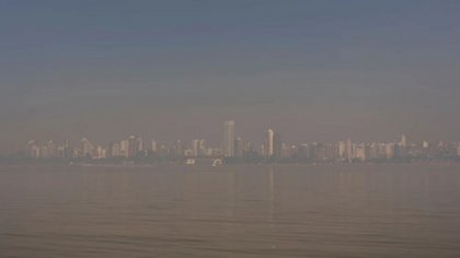 Delta del Paraná: alarmante cantidad de afectados por quemas