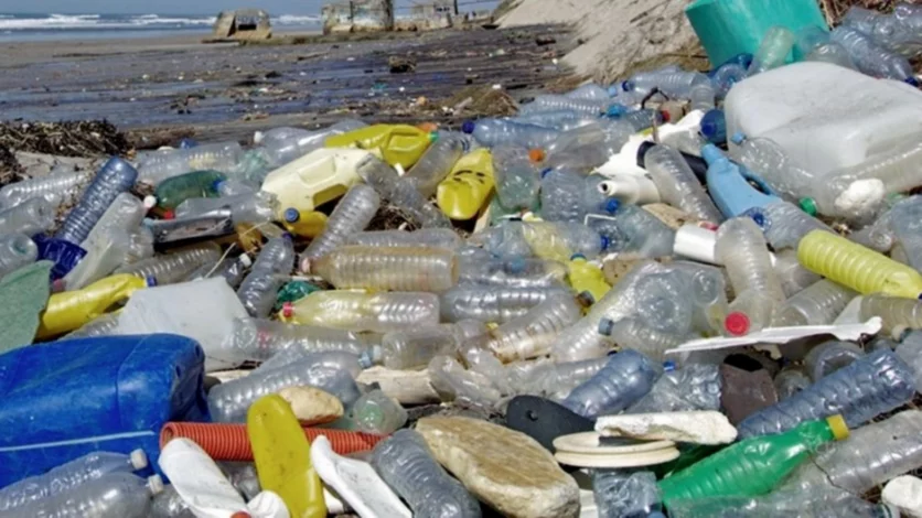 Urgente pedido de limpieza en playas de Península Valdés
