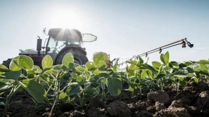 Los exportadores de soja ya liquidaron unos 3.500 millones de dólares