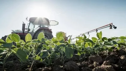 Los exportadores de soja ya liquidaron unos 3.500 millones de dólares