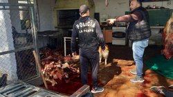 Tremendo: mataban caballos para hacer milanesas y hamburguesas