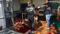 Tremendo: mataban caballos para hacer milanesas y hamburguesas