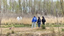 Un barrendero encontró un cuerpo sin vida en Valentina Sur
