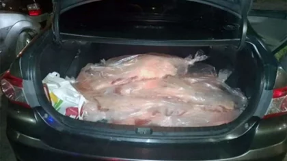 Llevaba 30 costillares en un Corolla y se los incautaron