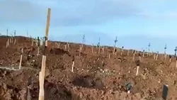 La más aterradora imagen de lo que es la guerra