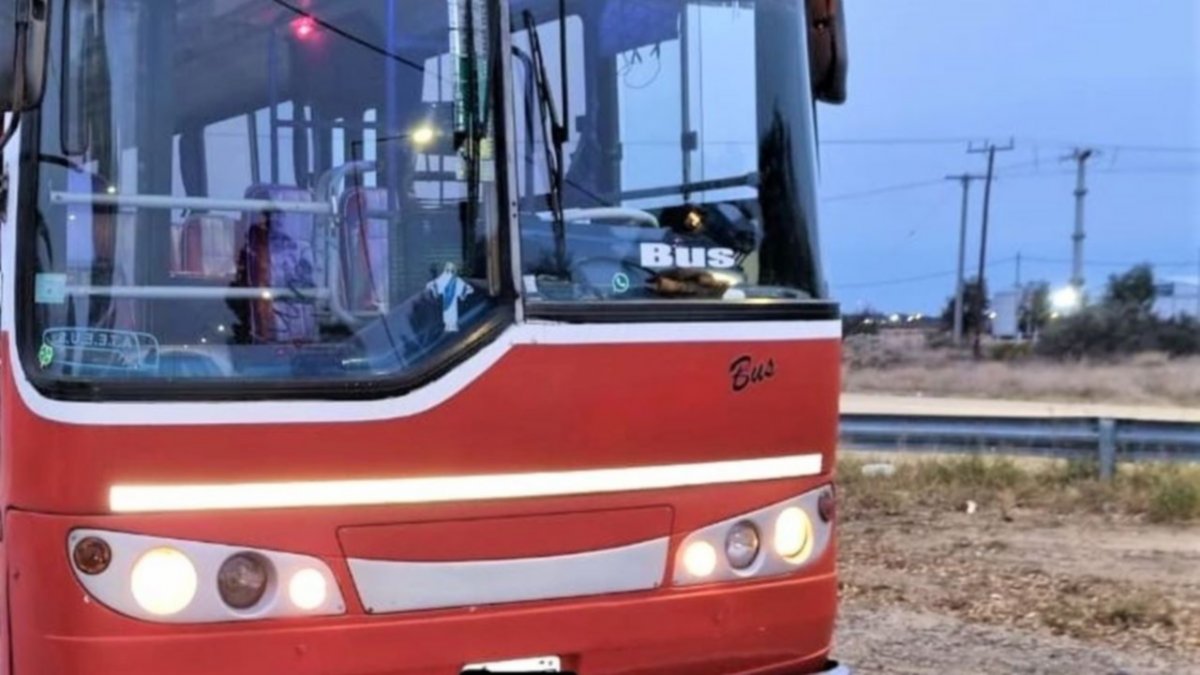 Investigan cómo cayó un nene del transporte escolar