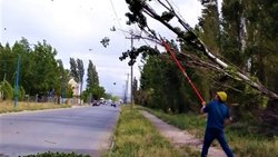 Un clásico: viento, lluvia y cortes de luz