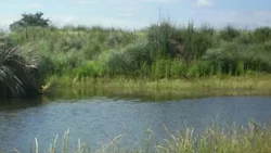 Hallaron el cadáver de un jubilado en un tanque de agua