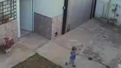 VIDEO: El bebé se escapó a la calle ¡y los perritos le salvaron la vida!