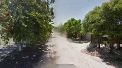 Horror: apuñalaron más de 100 veces a una mujer de 78 años