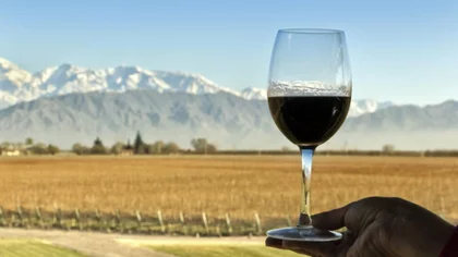¡A celebrar! 24 de noviembre Día nacional del Vino Argentino