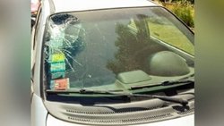 Salió a correr y lo llevó puesto un conductor alcoholizado