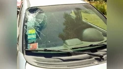 Salió a correr y lo llevó puesto un conductor alcoholizado
